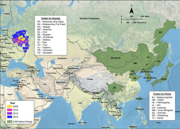 USDA Asian EAB map
