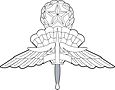 US Military Master Free Fall Parachutist Badge.jpg