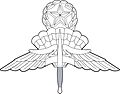 US Military Master Free Fall Parachutist Badge