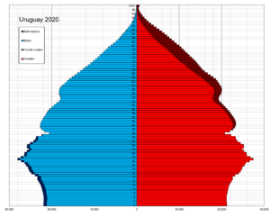 Uruguay single age population pyramid 2020