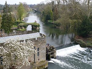 Weir - Warwick Castle - geograph.org.uk - 1712751