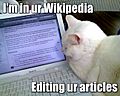Wikipedia-lolcat
