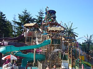 Wild Waves slide tower