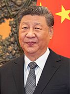 Xi Jinping in Beijing on May 13, 2025 (cropped).jpg