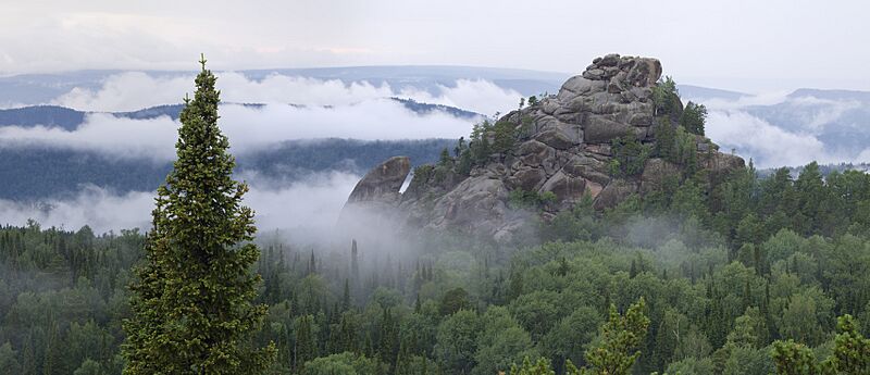 Image: Первый, туманный