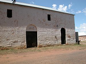1827 - The Ben Hall Sites - Cliefden - The northern elevation of the barn and woolshed building. (5052149b2)