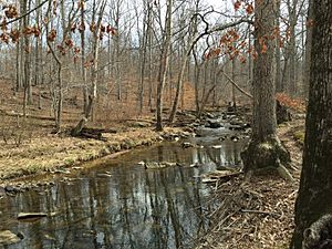 2016-03-10 15 04 41 View east up Big Rocky Run within Ellanor C. Lawrence Park in Fairfax County, Virginia