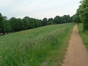Alexandra Palace Park, path through long grass - geograph.org.uk - 823105