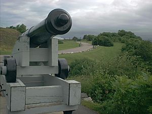 Artillery piece battlefields park