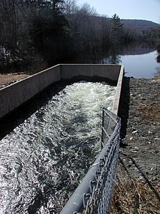 Baker Flood Structure 6 Spillway Upstream