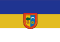 Bandera de Burguete