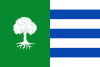 Flag of Olmedilla de Alarcón
