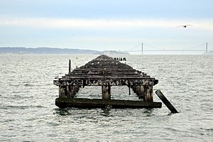 Berkeley pier old part 3308