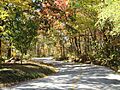 Black Rock Mountain Road