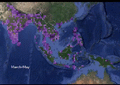 Blue-tailed bee-eater range migration