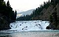 Bow River-27527-3
