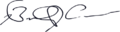 Brandon Johnson signature (1)