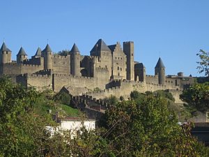 Burg von Carcassonne