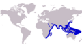 Caranx heberi distribution