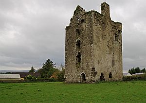 Castles of Munster, Knockgraffon, Tipperary - geograph.org.uk - 1542103