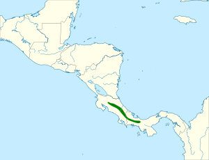 Chlorospingus pileatus map.svg