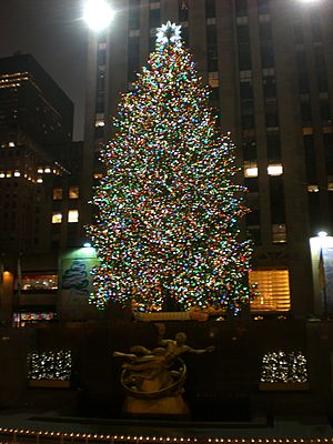 Christmas Tree, Rockefeller Center (5422495178)