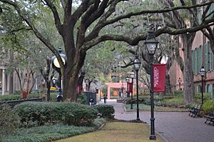 College of Charleston campus, February 2014 - 7