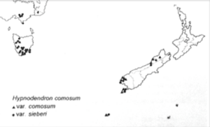 Distribution of both varieties of Hypnodendron comosum