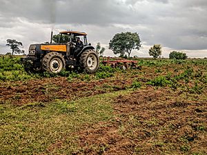 Farm Ploughing, Kwara State, Nigeria