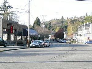 Fauntleroy commercial area