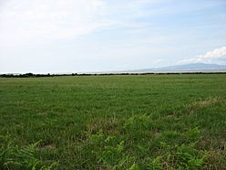 Fields by the Solway Firth - geograph.org.uk - 3590916.jpg