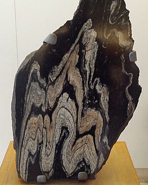 Folded gneiss from Loch Duich, Lasting Impressions Gallery, Natural History Museum, London 02