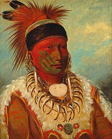 George Catlin - The White Cloud, Head Chief of the Iowas - Google Art Project