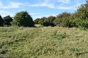 Godmanchester Eastside Common 4