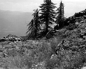 Harvey Mountain Quarry 5 - Boundary County Idaho
