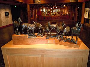 High Desert Museum (Lobby)