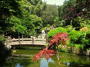 Japanese Tea Garden, San Mateo, CA - IMG 9112
