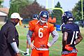 Jay Cutler and Brandon Marshall