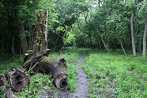 Jurassic Way - geograph.org.uk - 174162