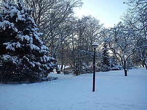 Landskrona Citadel Park 20101221 12.00 CET