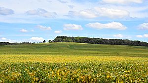 Looking eastward at Charles Mound, the highest point in Illinois
