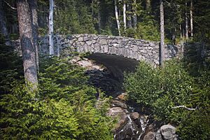MRNP — Narada Falls Bridge