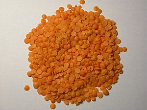 Masoor dal