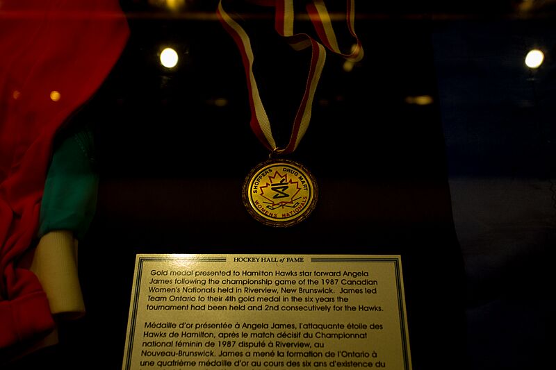 Medal (20547337979)