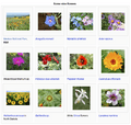 MediaWiki's gallery feature