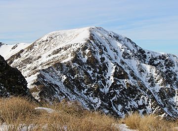 Mt Hector, Southern Crossing, Tararuas, New Zealand (12).JPG