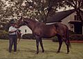 Nashua & Clem Brooks