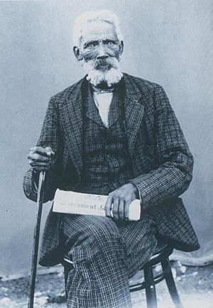 Nicolaas Waterboer - Griqua leader and politician of the Cape Colony