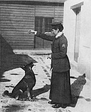 A sepia photograph taken outdoors of a woman wearing a military-style coat and long skirt training a German shepherd dog with treats