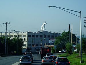 Nipper watching over North Albany,as seen from Loudonville Road